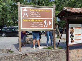 Tour Wandern Courry - ARDECHE/GARD COURY Grotte de la cocaliere sentier de decouvertegrotte de la cocaliere - Photo