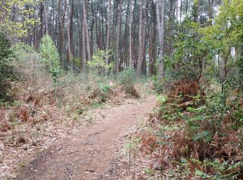 Tocht Stappen Gradignan - Villenave  - Photo