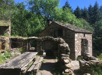 Tour Wandern Rosis - Le sommet du Plo des Brus dans l'Espinouse - Photo