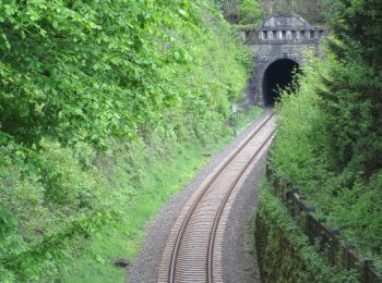 Tour Zu Fuß Rösrath - Bergbauweg - Photo