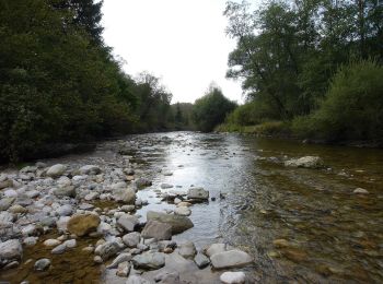 Trail On foot Weyarn - Sterneck - Photo