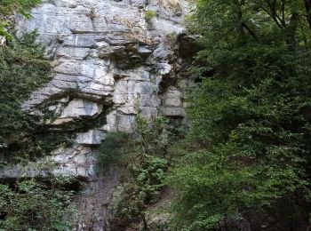 Randonnée A pied Sassenage - Les Gorges du Furon - Photo