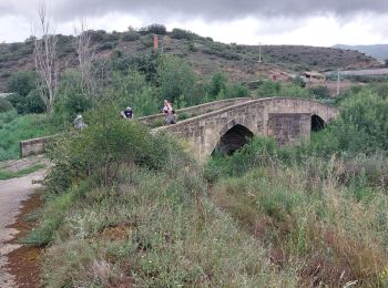 Trail Walking Puente la Reina/Gares - 2023 05 estella - Photo