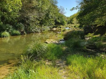 Tocht Stappen Sommières - Sommières les moulins du Vidourle  - Photo