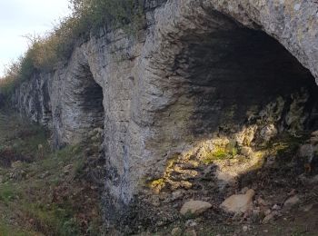 Tocht Stappen Vers-Pont-du-Gard - La lône Vers pont du gard - Photo