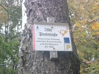 Trail On foot Südharz - Wanderweg 