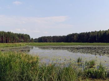 Percorso A piedi  - Szlak Powstań Śląskich - Photo