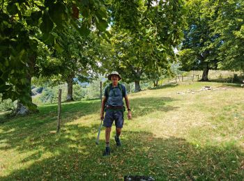 Trail Walking Ranspach - Rando des Marcheurs 20/07/2023 - Photo