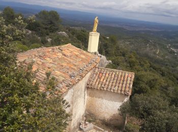 Trail Walking Le Val - le val 83 - Photo