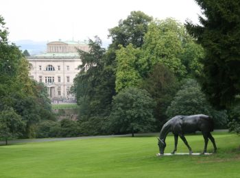 Tour Zu Fuß Unbekannt - Rundwanderweg Kruppwald A1 - Photo