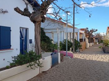 Excursión Senderismo Argelès-sur-Mer - argeles - collioure / retour par la mer  - Photo