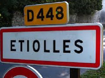 Tour Wandern Étiolles - JC 49 Etiolles, Corbeil le long de la Seine GR2 - Photo