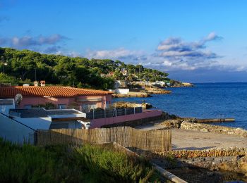 Percorso A piedi Antibes - Tour du Cap d'Antibes - Photo