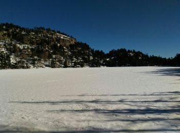 Tocht Sneeuwschoenen La Llagonne - Du pla des Aveillans au lac des Bouillouses - Photo