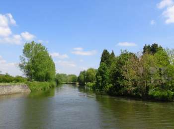 Tocht Stappen Merbes-le-Château - Balade à Labuissière - Photo