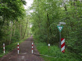 Percorso A piedi Neustadt am Rübenberge - Mardorf Rundwanderweg M4 (Moorweg) - Photo