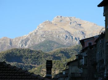 Randonnée A pied Pigna - Pigna - Passo Muratone - Photo