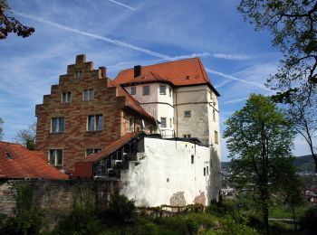 Randonnée A pied Obrigheim - Rundwanderweg Bickeldorn 6: Schloss-Neuburg-Weg - Photo