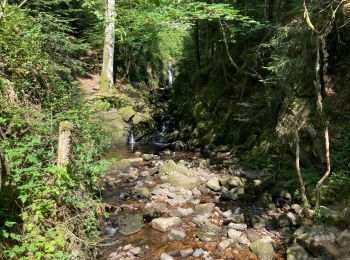 Trail Walking Girmont-Val-d'Ajol - Gîrmont Val d’Ajol - Photo