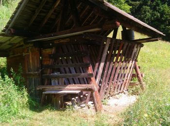 Tocht Stappen Modane - Valfréjus Granges Areplane Les Herbiers Boucle  - Photo