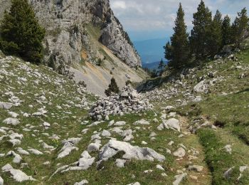 Trail Walking Saint-Michel-les-Portes - Pas des Bachasson. Boucle - Photo