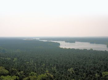 Tocht Te voet Onbekend - Wanderlehrpfad Teufelssee - Photo