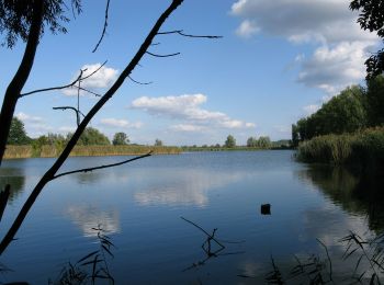 Tocht Te voet  - Bornim - Bf. Park Sanssouci über Grube - Photo