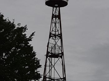 Tour Wandern Vaudeurs - Vaudeurs - Photo