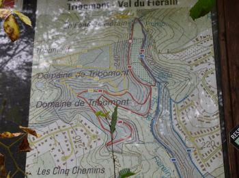Tour Wandern Verviers - 20211018 - Lambermont 7.1 Km - Photo