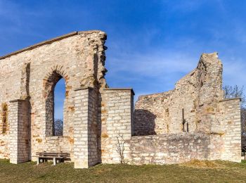 Tour Zu Fuß Heidenheim - Rundwanderweg 17 - Photo