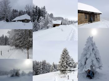 Tour Schneeschuhwandern Arith - Lachat-Cochette-2021-01-06 - Photo