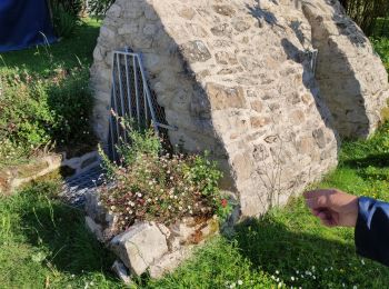 Tocht Stappen Saint-Armel - circuit croix fontaine St Armel - Photo