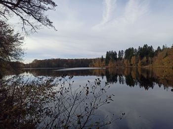 Tour Wandern Écromagny - reco auj - Photo