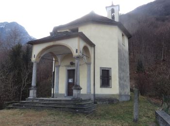 Trail On foot Pieve Vergonte - A43 - Loro - Alpe Colla - Photo