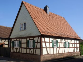 Randonnée A pied Alzenau - Kulturweg Alzenau 1 - Photo