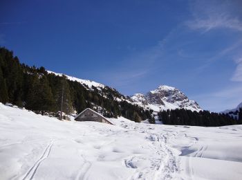 Trail On foot Scurelle - Sentiero di Val Montalon - Photo