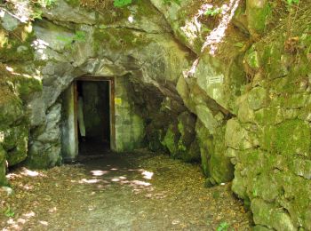 Tour Zu Fuß Freyung - Rundwanderweg Nr. 3 