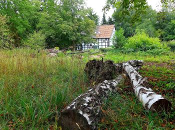 Tour Zu Fuß Unbekannt - Alfredusbad-Kupferdreh - Photo