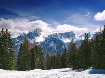 Trail On foot Cortina d'Ampezzo - 403 - Photo