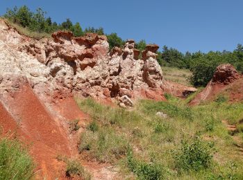 Tour Zu Fuß Madriat - Bard et Letz - Photo