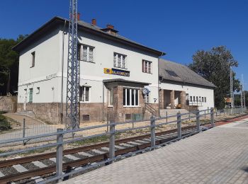 Tocht Te voet Balatonalmádi - Z (Balatonfűzfő körút) - Photo