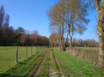 Trail Walking Azay-sur-Indre - Azay-sur-Indre - GR46 PR Chambourg-sur-Indre - 18.2km 200m 2h55 (23mn) - 2021 03 06 - Photo