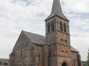 Tour Zu Fuß Chastreix - Bois de la Masse - Photo