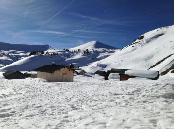 Randonnée Raquettes à neige Nancy-sur-Cluses - Tête de Sallaz et chalet de Vormy - Photo