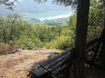 Excursión A pie Tramin an der Weinstraße - Termeno sulla Strada del Vino - IT-523 - Photo