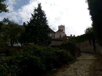 Tocht Stappen Vézelay - Autour de Vézelay - Photo