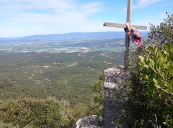 Tour Wandern Peyrolles-en-Provence - la trempasse - Photo