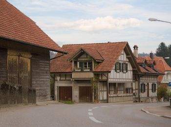 Randonnée A pied Lohn-Ammannsegg - Lohn Lüterkofen - Biberist - Photo