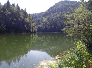 Tour Wandern Charmauvillers - Étape 5 : Bief d'Etoz à Fournet-Blancheroche - Photo