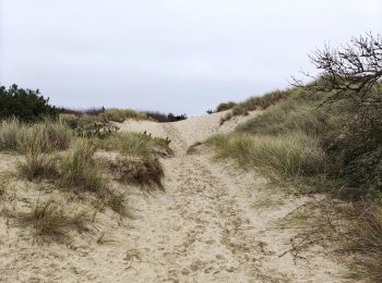 Randonnée Marche Équihen-Plage - Le sentier des dunes   - Photo